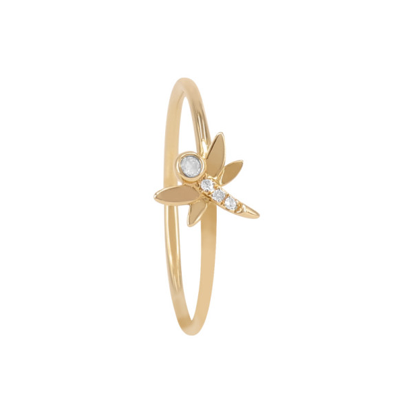 Darling Dragonfly